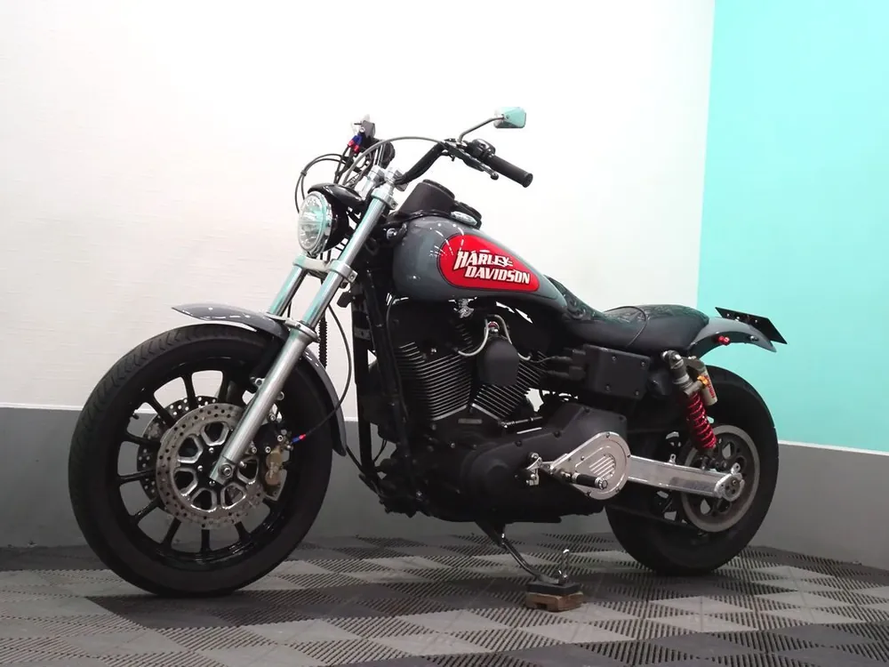 Harley-Davidson FXDX 2001, фото 9