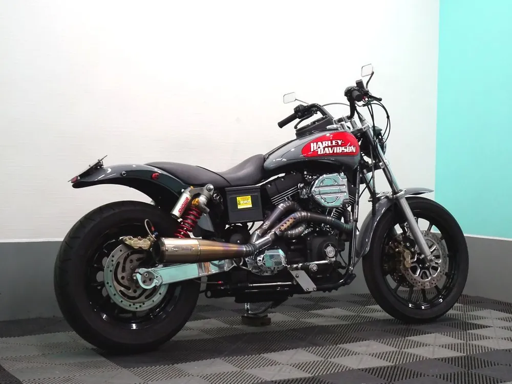 Harley-Davidson FXDX 2001, фото 4