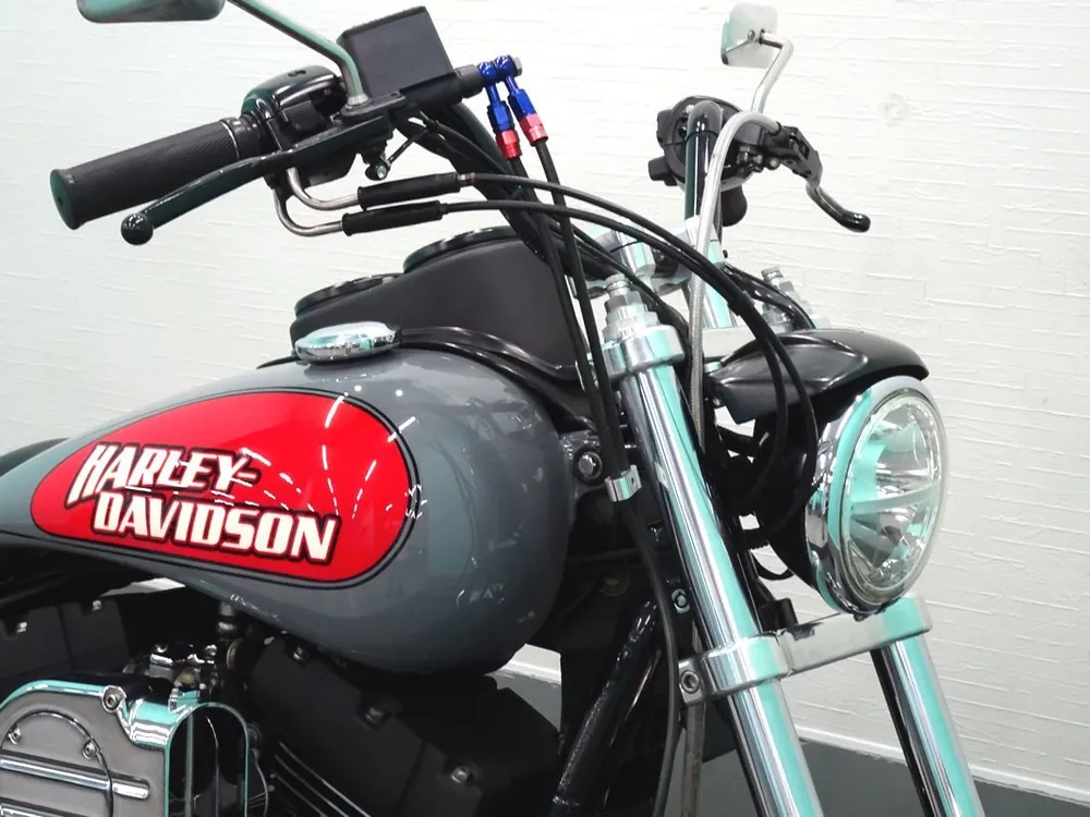 Harley-Davidson FXDX 2001, фото 5