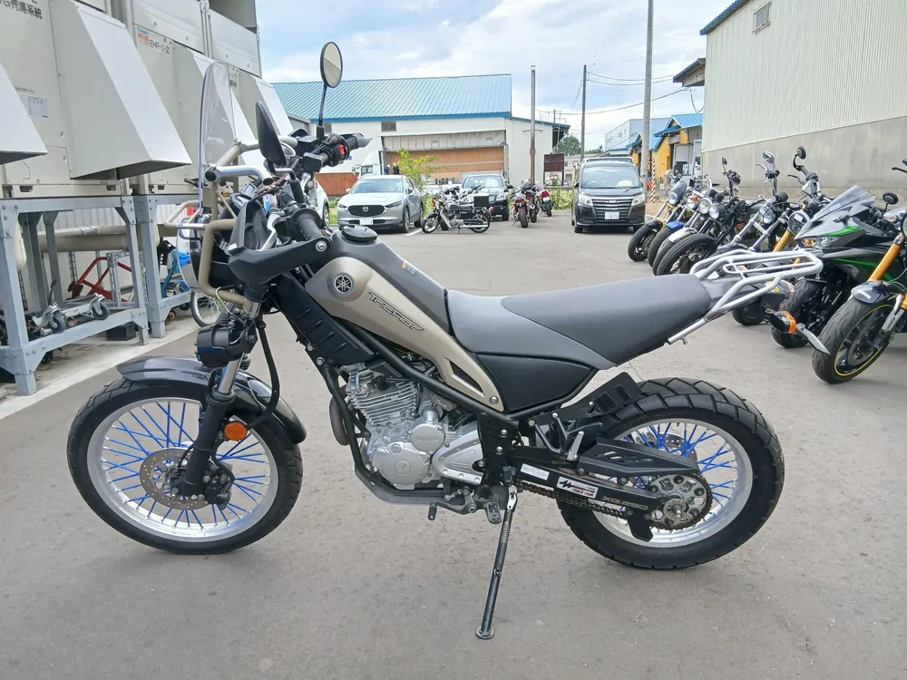 Yamaha Tricker 250 2019, light brown, фото 2