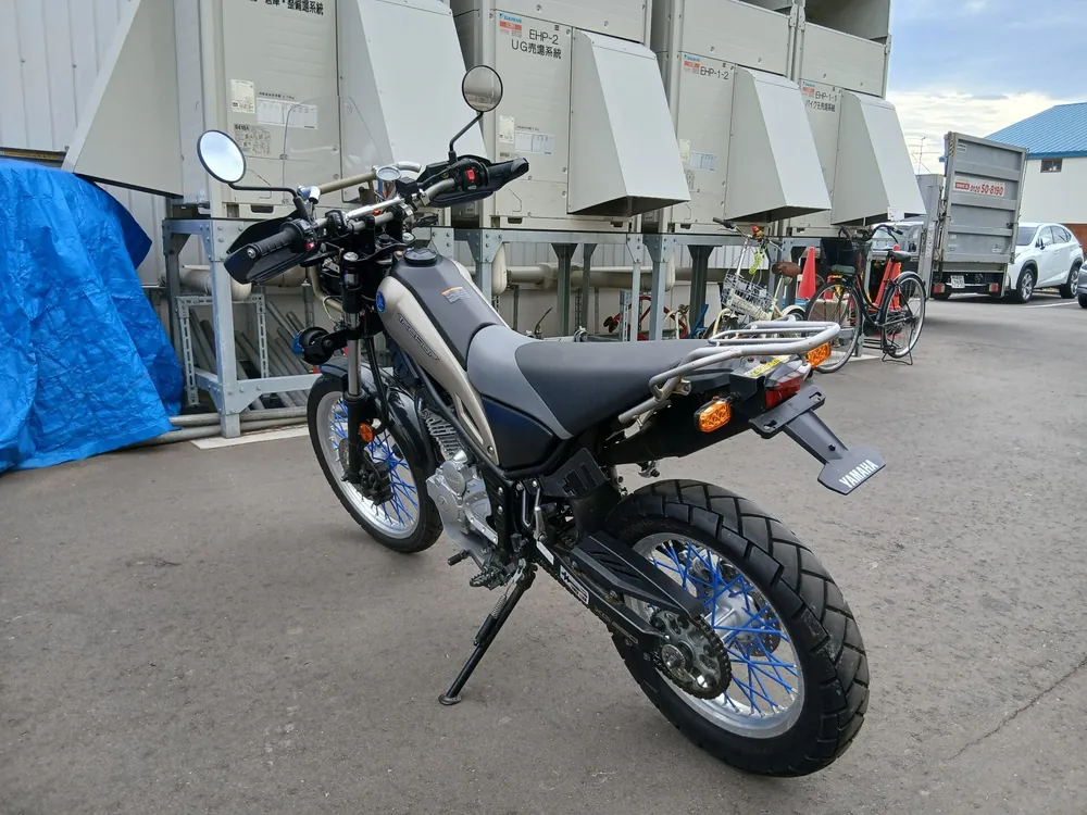 Yamaha Tricker 250 2019, light brown, фото 5