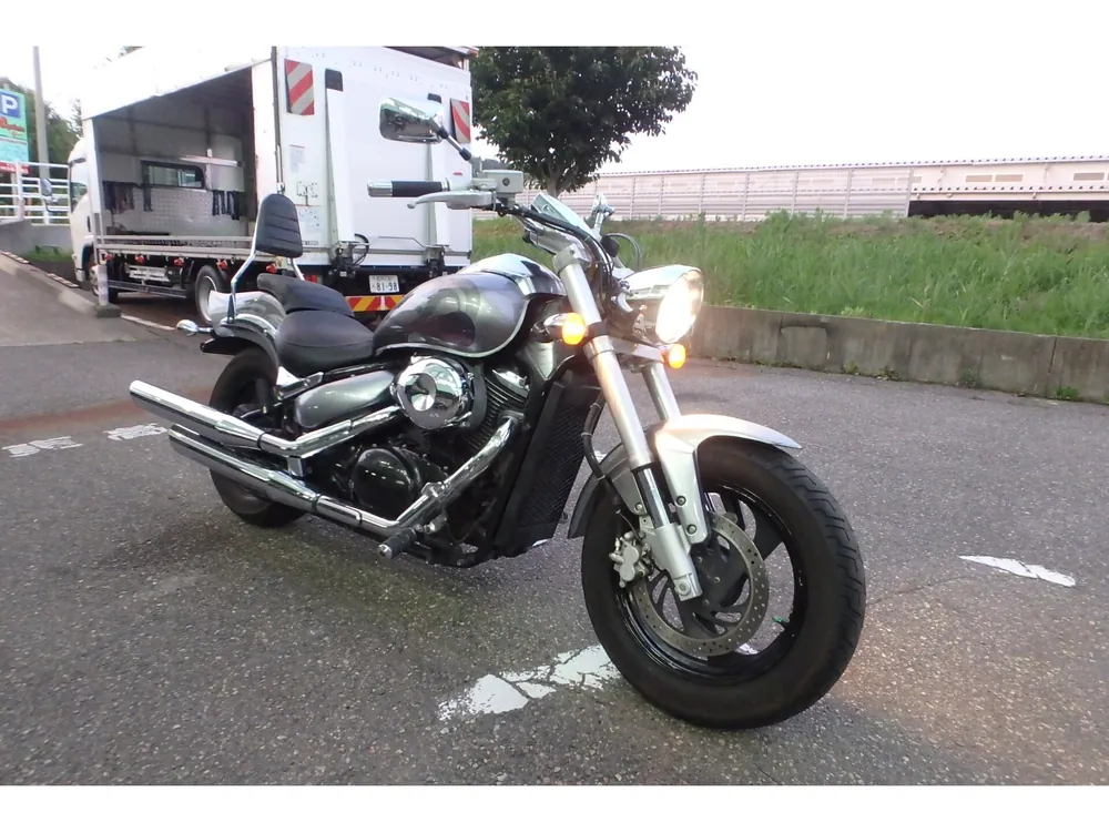 Suzuki Boulevard 400 2007, серебристый, фото 3