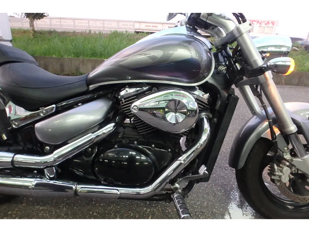 Suzuki Boulevard 400 2007, серебристый, фото 5
