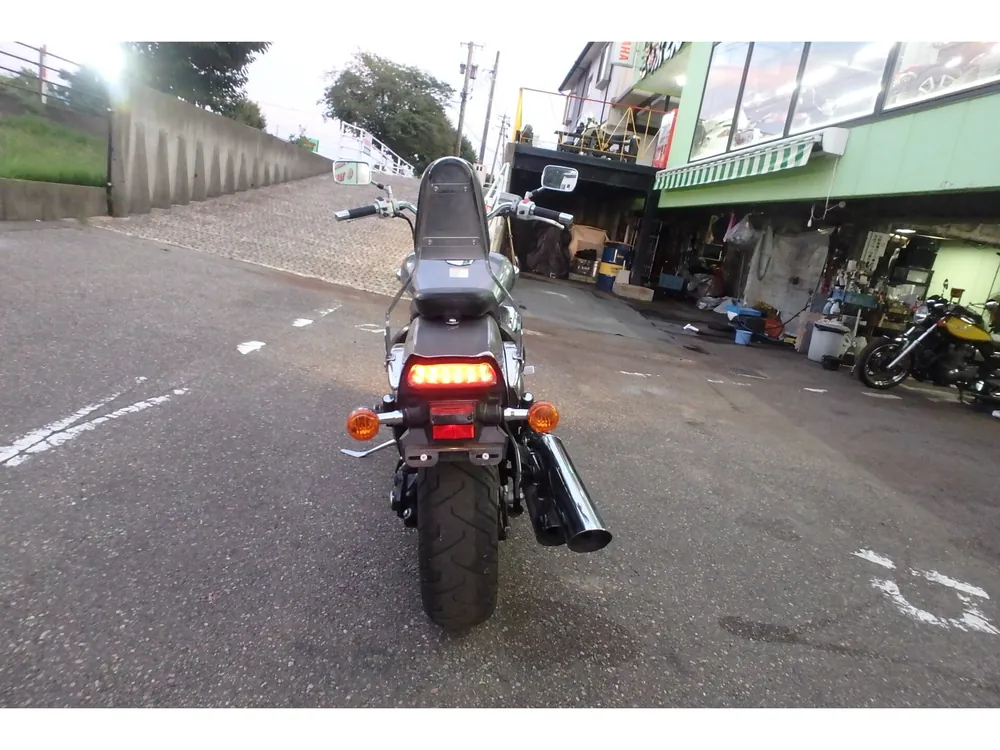 Suzuki Boulevard 400 2007, серебристый, фото 8