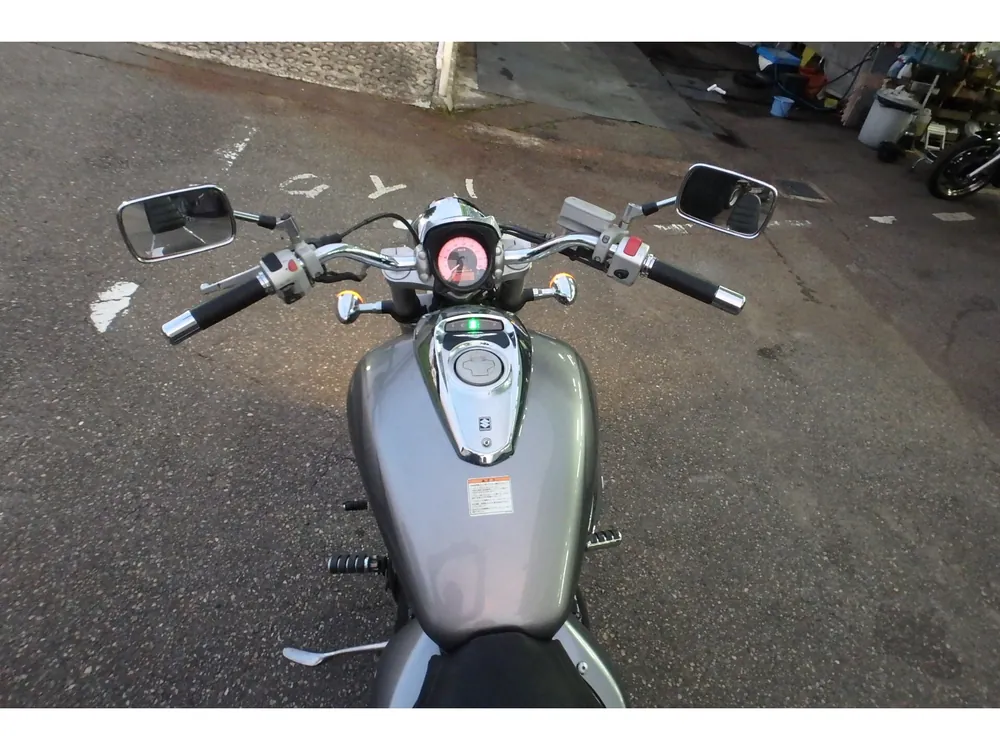 Suzuki Boulevard 400 2007, серебристый, фото 10