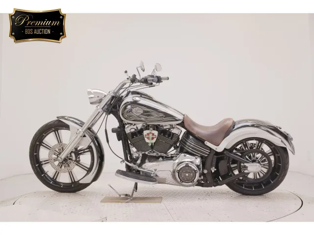 Harley-Davidson FXCWC1580 2009, white | black, фото 2