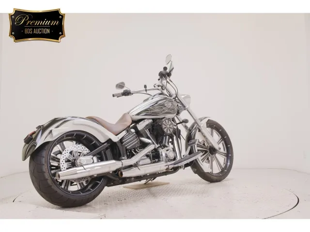 Harley-Davidson FXCWC1580 2009, white | black, фото 5