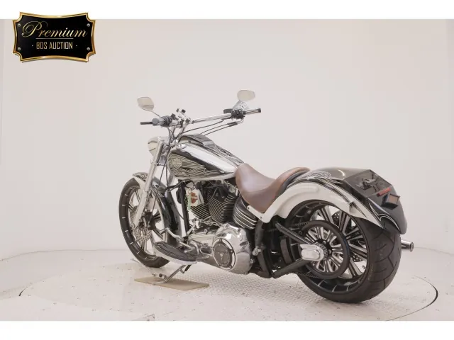 Harley-Davidson FXCWC1580 2009, white | black, фото 6