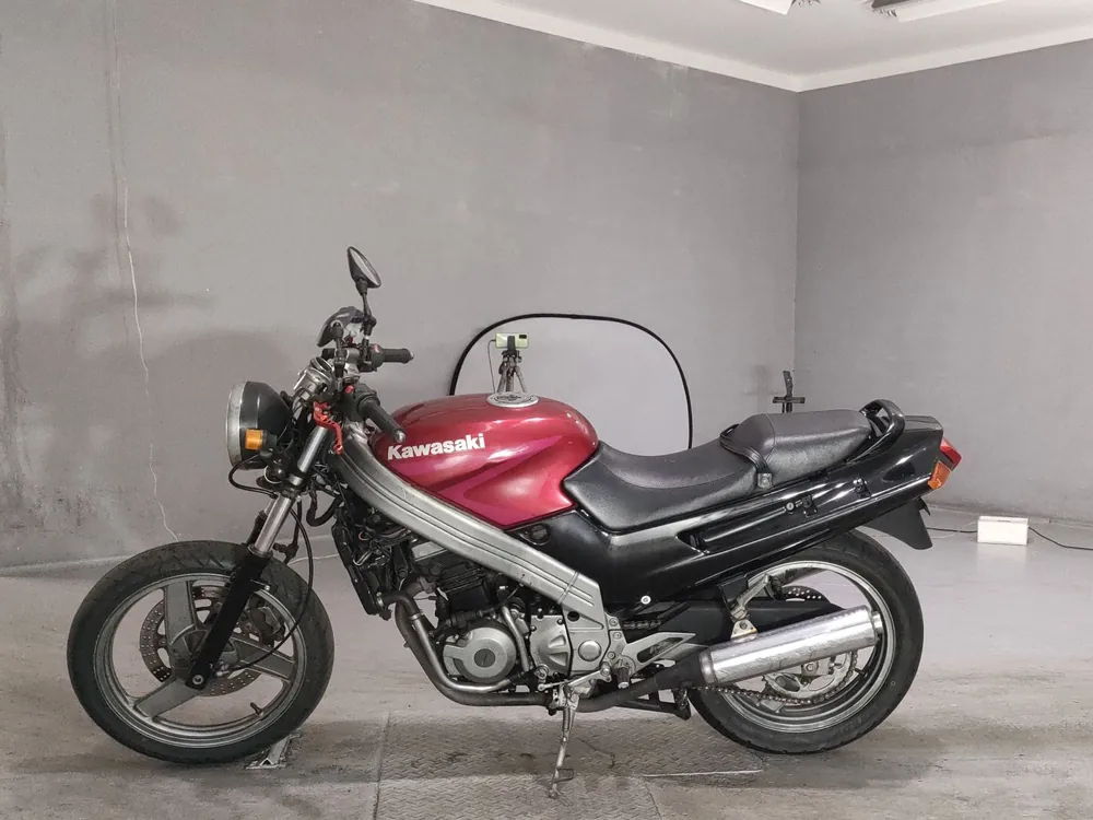 Kawasaki ZZ-R250, красный, фото 2