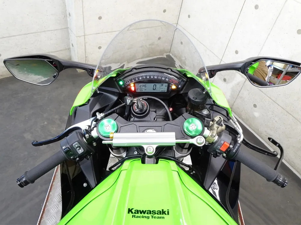 Kawasaki ZX-10RA 2019, black/green, фото 3