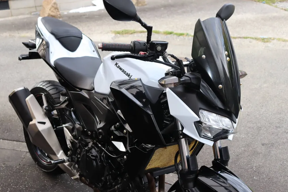 Kawasaki Z250 2019, фото 9