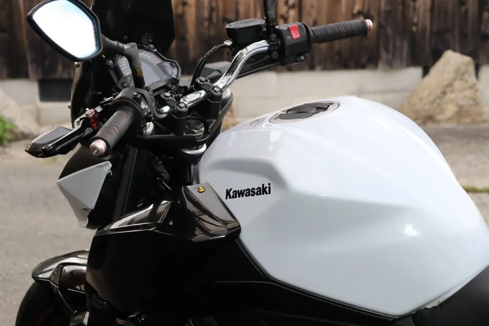 Kawasaki Z250 2019, фото 5