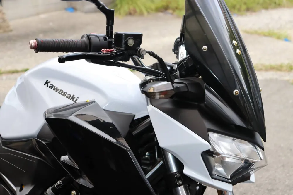Kawasaki Z250 2019, фото 6