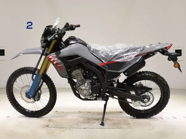 Honda CRF250 Rally, серый, фото 2