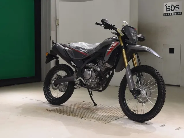 Honda CRF250 Rally, серый, фото 3
