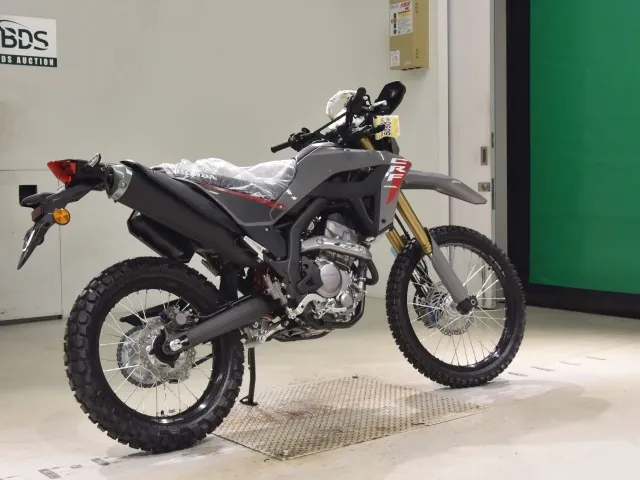 Honda CRF250 Rally, серый, фото 5