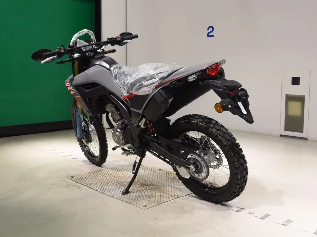 Honda CRF250 Rally, серый, фото 6