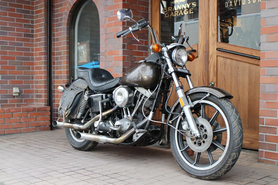 Harley-Davidson FXEF 1979, фото 3