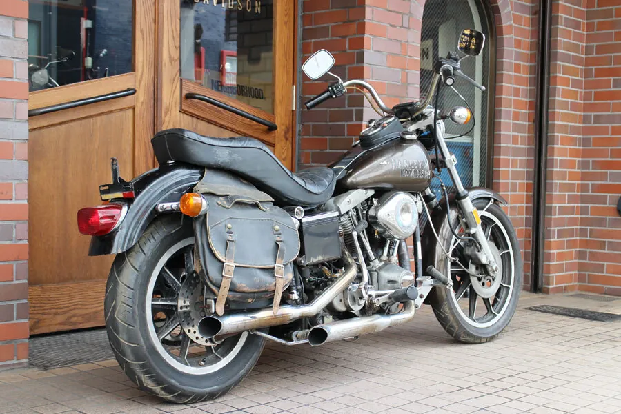 Harley-Davidson FXEF 1979, фото 4