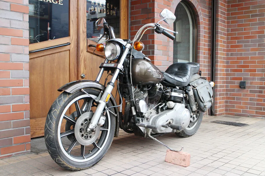 Harley-Davidson FXEF 1979, фото 6