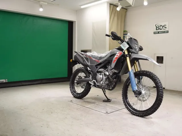 Honda CRF250 Rally, серый, фото 3