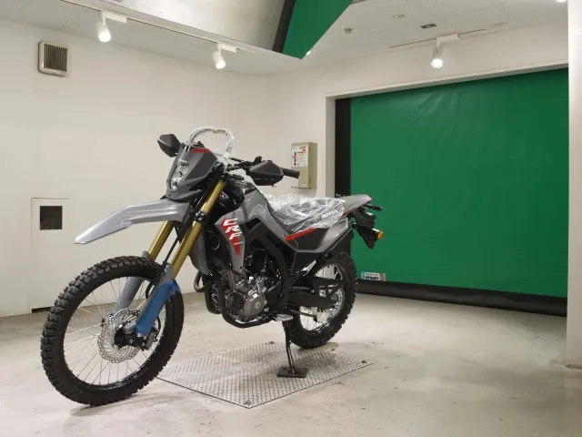 Honda CRF250 Rally, серый, фото 4