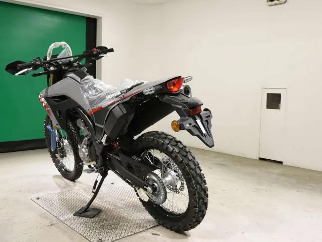 Honda CRF250 Rally, серый, фото 6