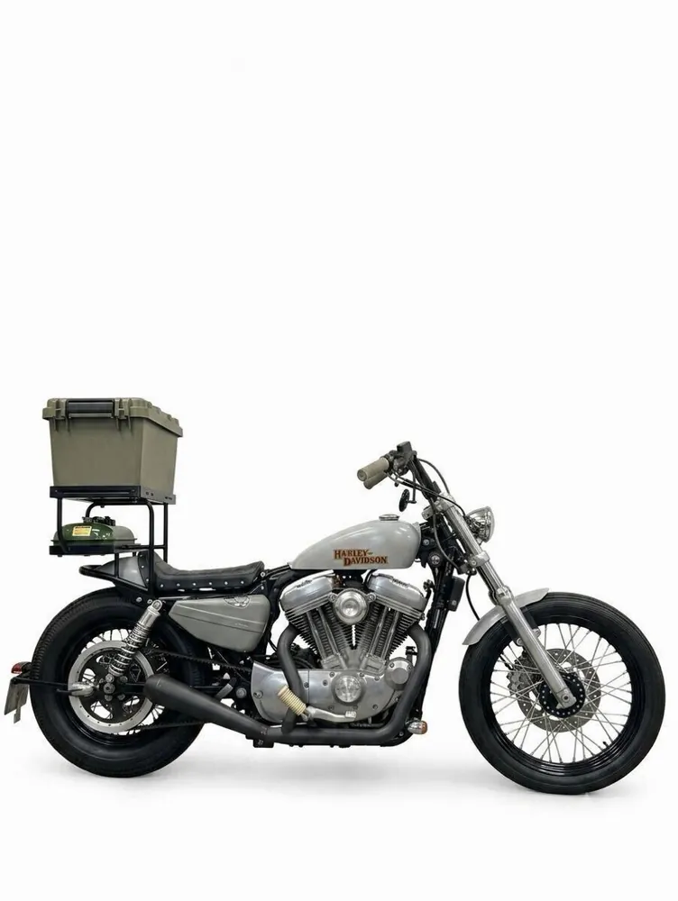 Harley-Davidson Sportster 883 2006, фото 2