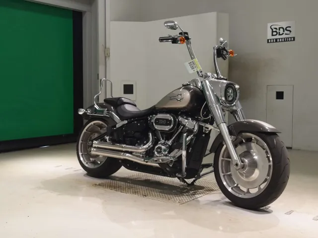 Harley-Davidson FLFBS1870 2023, серый, фото 3