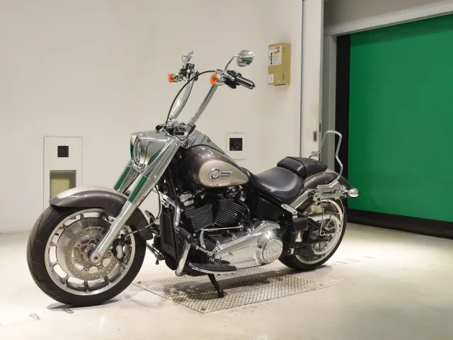 Harley-Davidson FLFBS1870 2023, серый, фото 4
