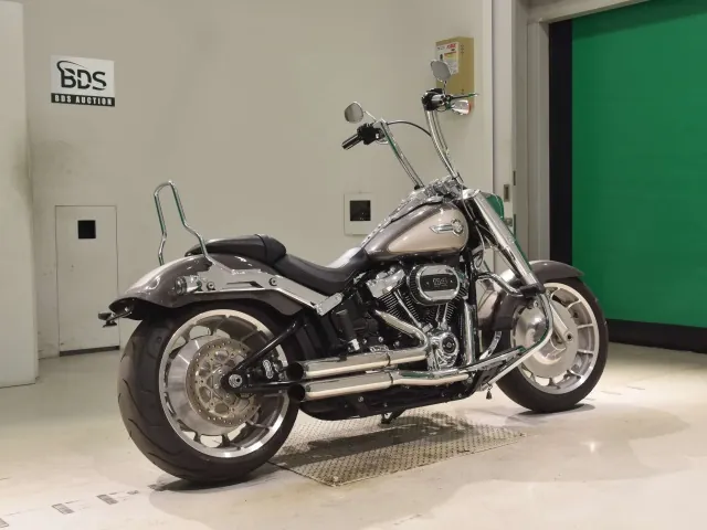 Harley-Davidson FLFBS1870 2023, серый, фото 5