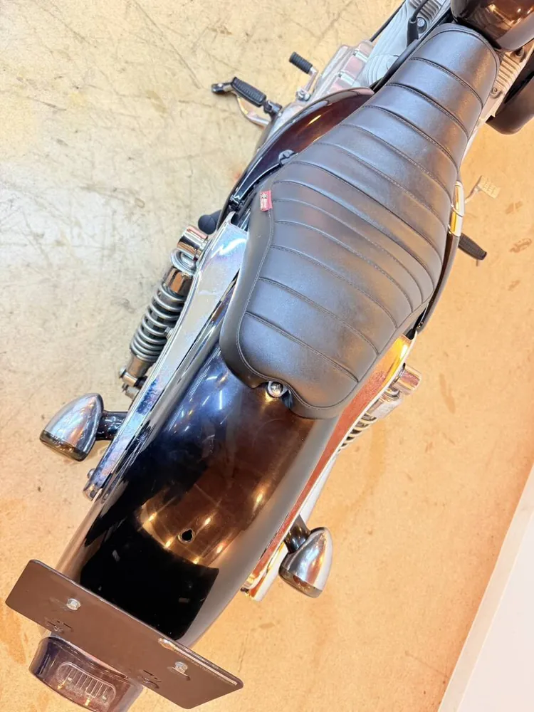 Harley-Davidson XL883 2009, фото 2