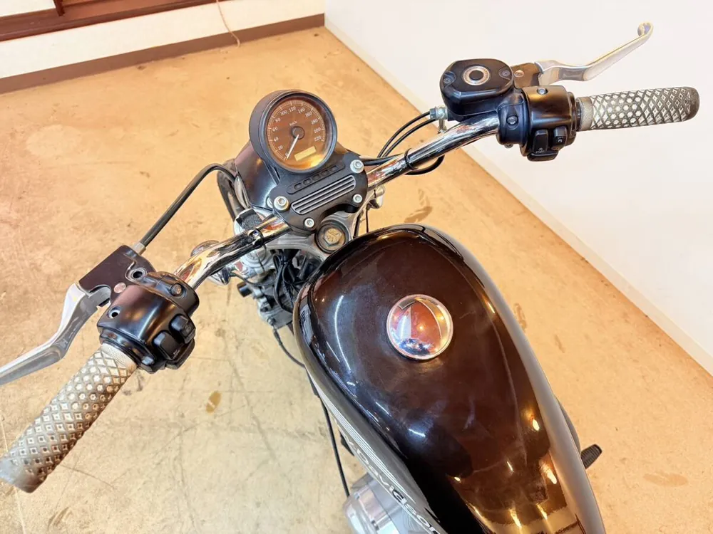 Harley-Davidson XL883 2009, фото 6