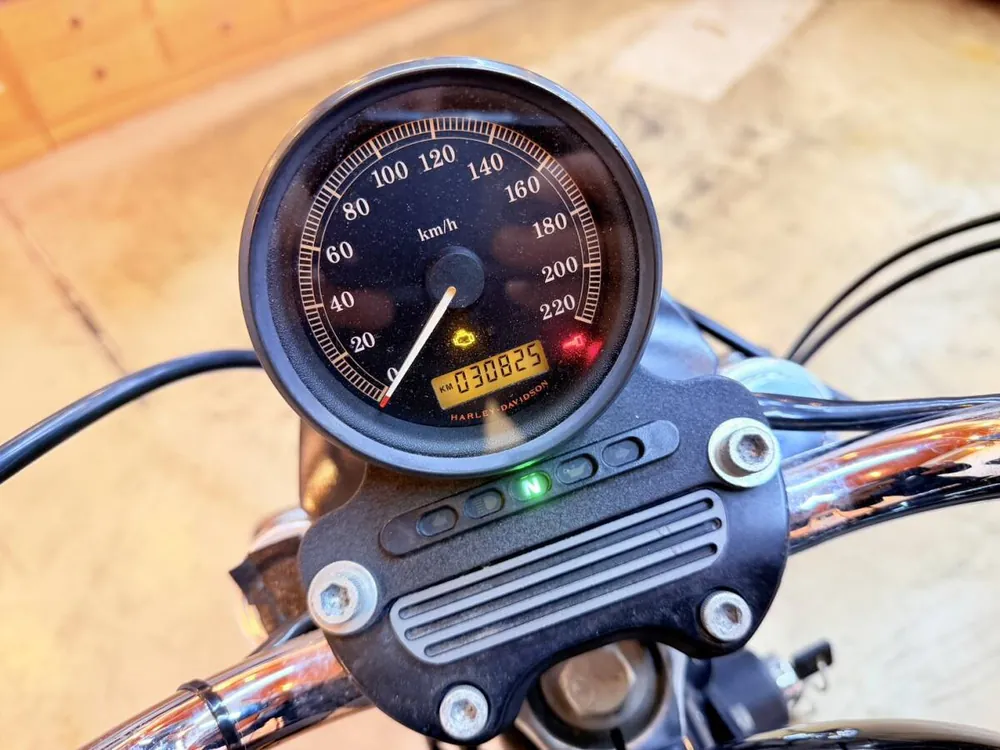 Harley-Davidson XL883 2009, фото 7