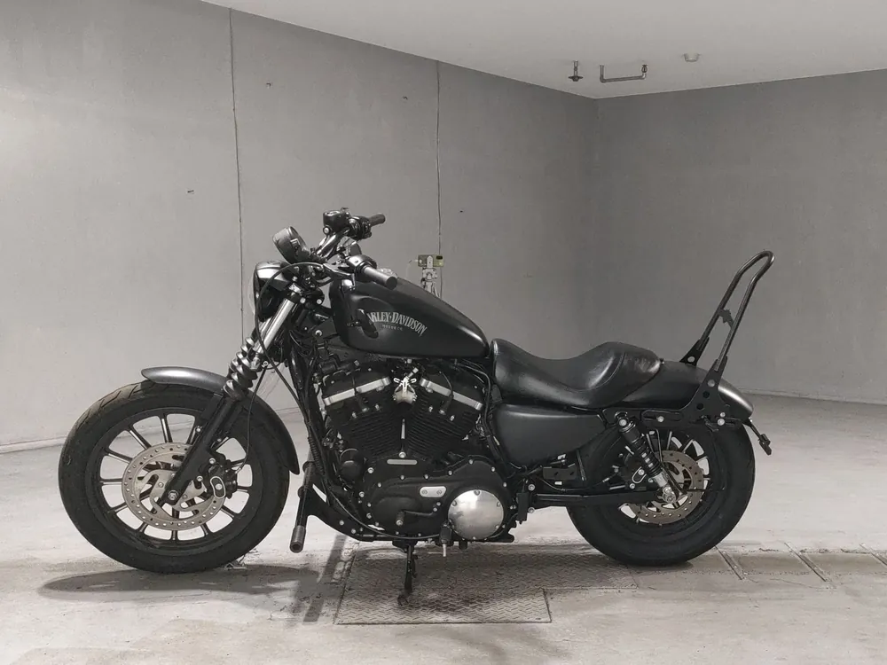 Harley-Davidson XL883N 2015, чёрный, фото 2