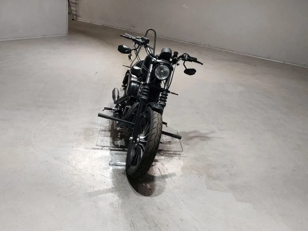 Harley-Davidson XL883N 2015, чёрный, фото 3