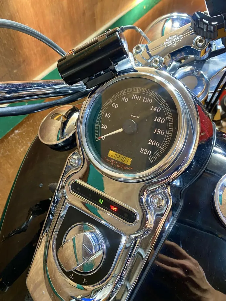 Harley-Davidson FXDWG 2003, фото 8