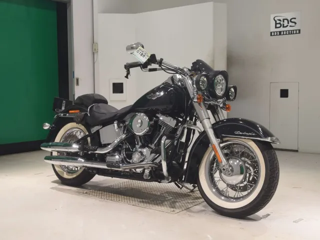 Harley-Davidson FLSTN1580 2013, чёрный, фото 3
