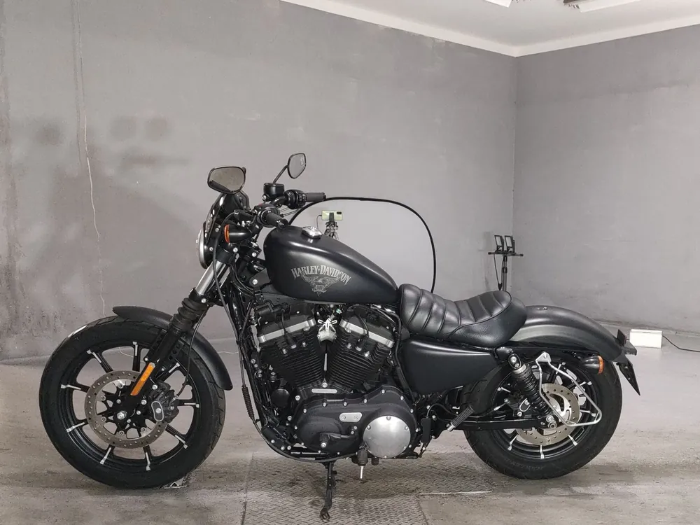 Harley-Davidson XL883N 2016, чёрный, фото 2