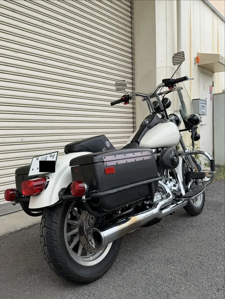 Harley-Davidson FXDP 2001, фото 4