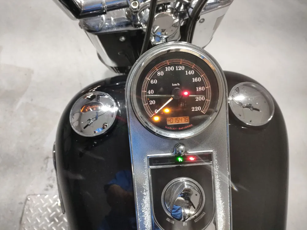 Harley-Davidson FLSTF1580 2013, чёрный, фото 5