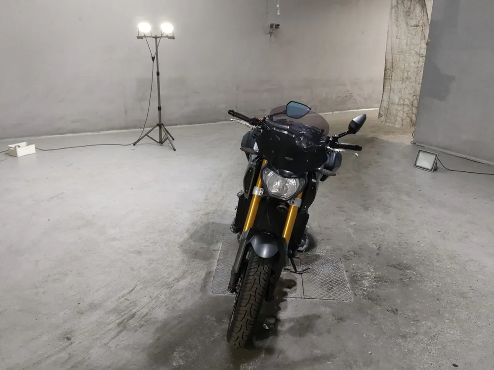 Yamaha MT-09 2015, серый, фото 3