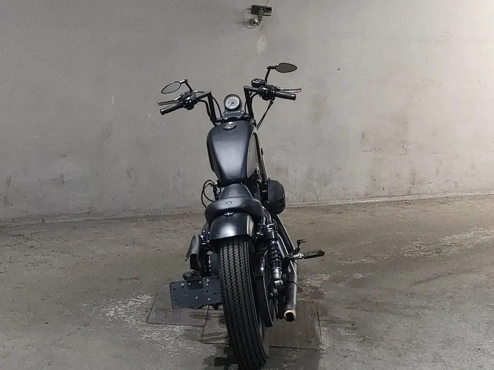 Harley-Davidson XL883N 2011, чёрный, фото 4