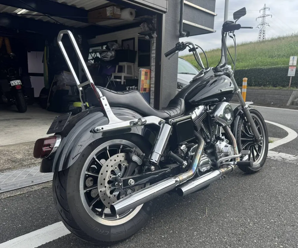 Harley-Davidson FXDL 2004, фото 8