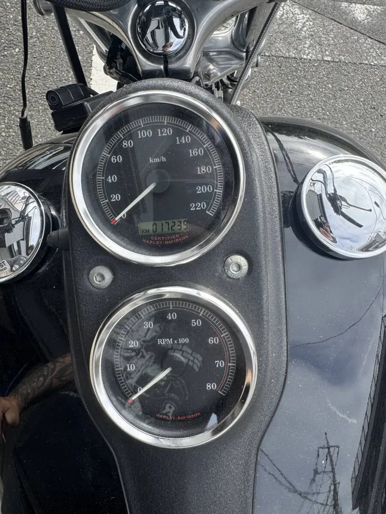 Harley-Davidson FXDL 2004, фото 2