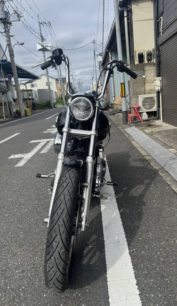 Harley-Davidson FXDL 2004, фото 5