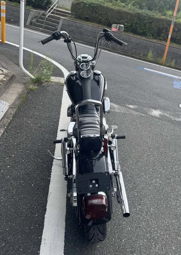 Harley-Davidson FXDL 2004, фото 7