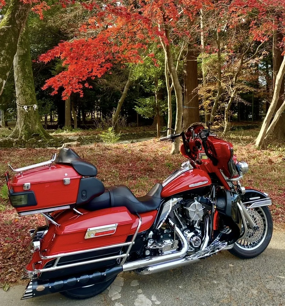 Harley-Davidson FLHTK 2010, фото 3