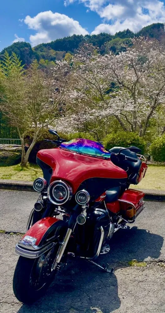 Harley-Davidson FLHTK 2010, фото 4