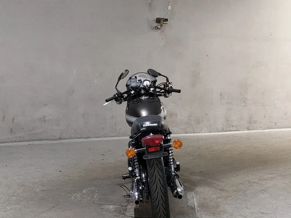 Kawasaki W800-2 2021, белый, light brown, фото 4